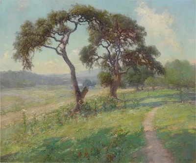 Untitled Texas Hill Country Landscape