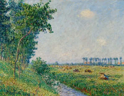 Untitled Vaches Dans Les Pleins De Normandie