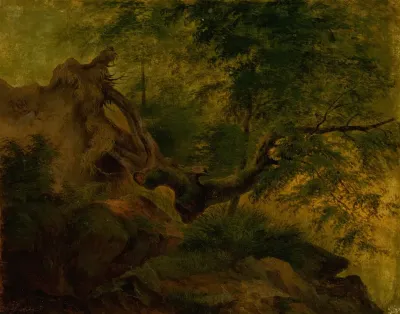 Uprooted Tree Windthrow