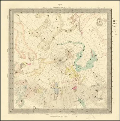 Ursa Major Cassiopea