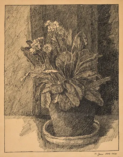 Urtepotte Med Primula