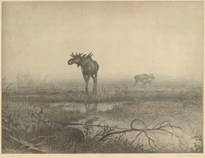 Urtid Pre Stoneage Denmark