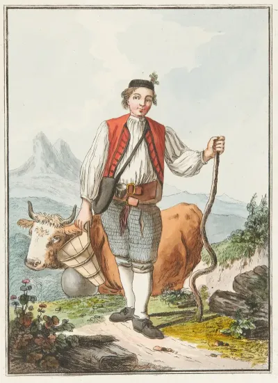 Vacher Allemand Du Canton De Fribourg