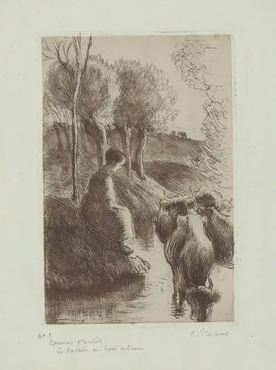 Vachere Au Bord De Leau