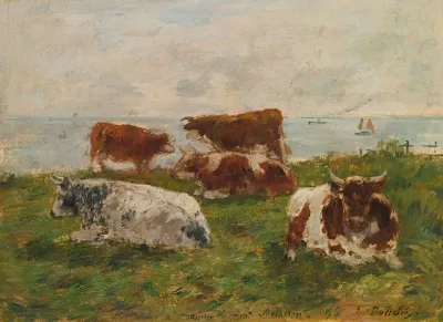 Vaches Au Pre Au Bord De La Me