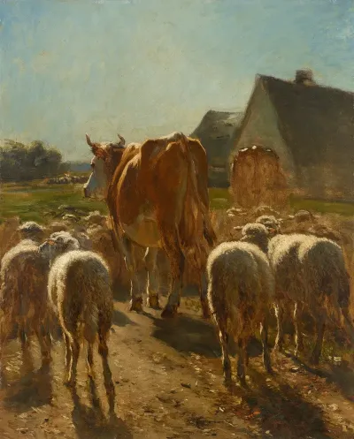Vaches Et Moutons Rentrant A La Ferme Effet De Soleil