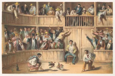 Valla De Gallos