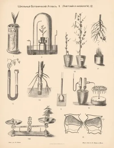 Various Experiments