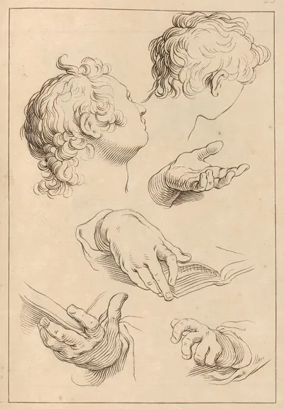 Various Sketches Of Heads And Hands
