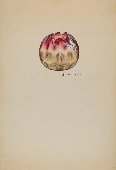 Vase 80