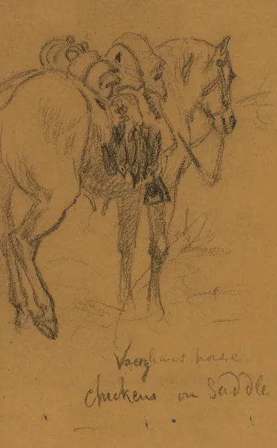 Vaughans Horse Chickens On Saddle