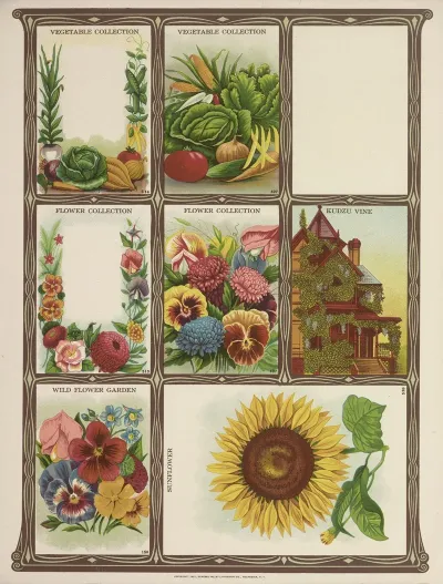 Vegetable And Flower Collection