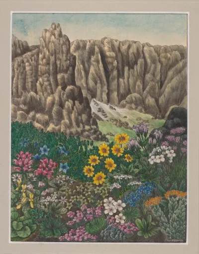 Vegetation Of The Karkonosze Mountains Pl 4