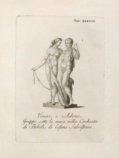 Venere E Adone Gruppo Sotto Le Mura Nella Cerchiata Di Boboli Di Cosimo Salvestrini