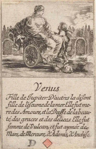 Venus 24