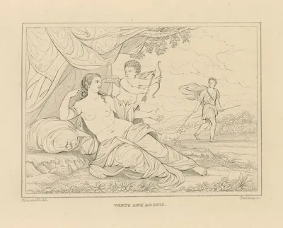 Venus And Adonis 41
