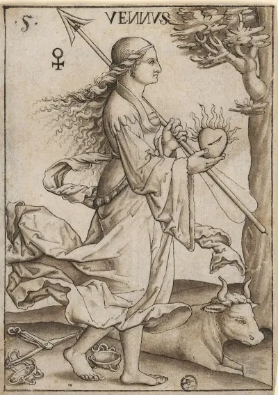 Venus Aus Einer Planetenserie