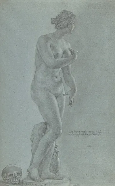 Venus De Medici View From The Front