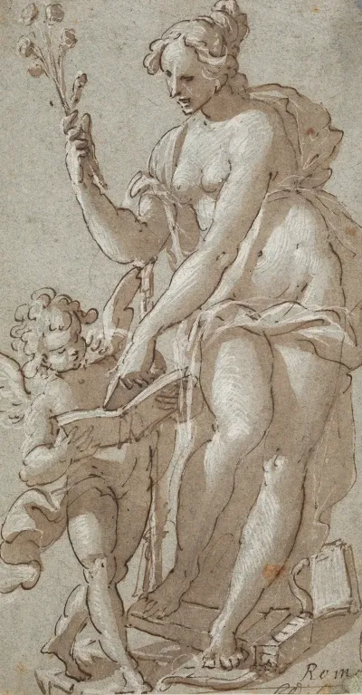 Venus Underviser Amor Der Laeser I En Bog