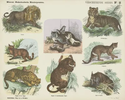 Verscheurende Dieren 2
