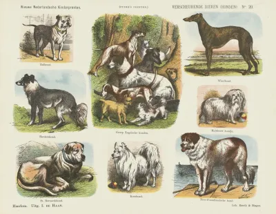 Verscheurende Dieren Honden