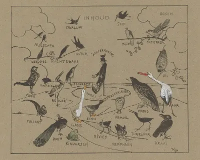 Verschillende Vogelsoorten 2