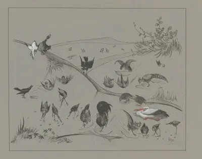 Verschillende Vogelsoorten Graven In De Aarde