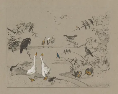 Verschillende Vogelsoorten Rond Een Vijver