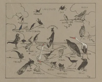 Verschillende Vogelsoorten