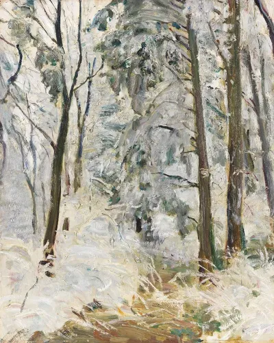 Verschneiter Waldweg 2