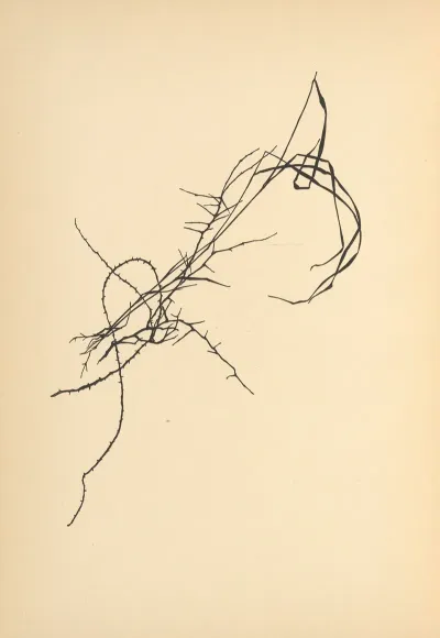 Vertrauen Pl 07