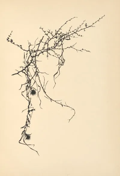 Vertrauen Pl 08