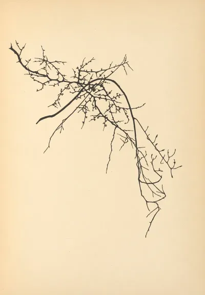 Vertrauen Pl 09