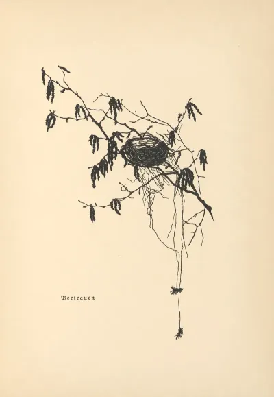 Vertrauen Pl 13