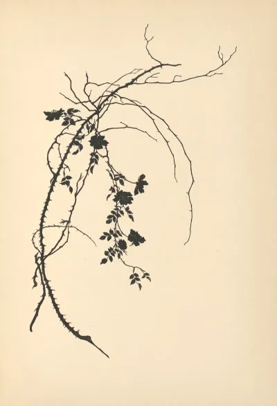 Vertrauen Pl 15