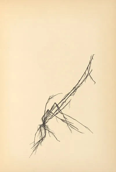 Vertrauen Pl 18