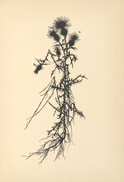 Vertrauen Pl 19