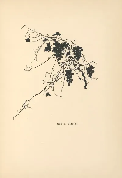 Vertrauen Pl 23
