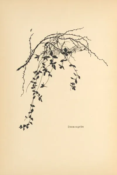 Vertrauen Pl 24