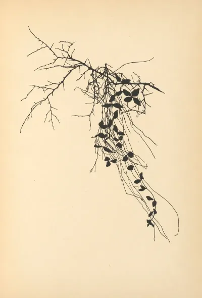 Vertrauen Pl 26
