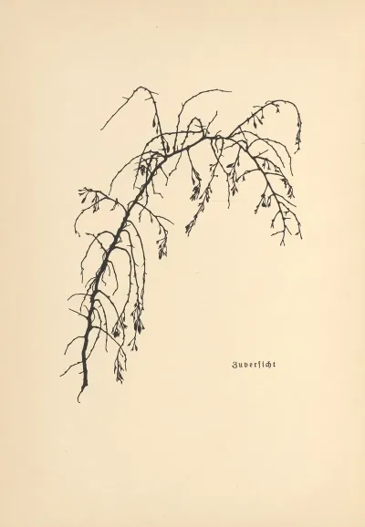 Vertrauen Pl 27