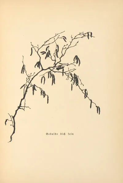 Vertrauen Pl 28
