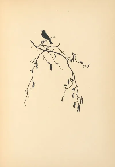 Vertrauen Pl 30