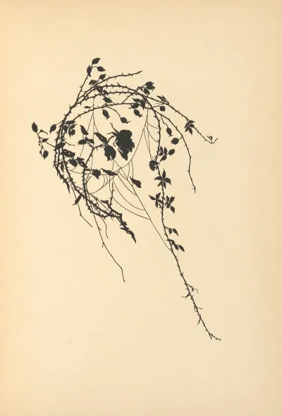 Vertrauen Pl 32