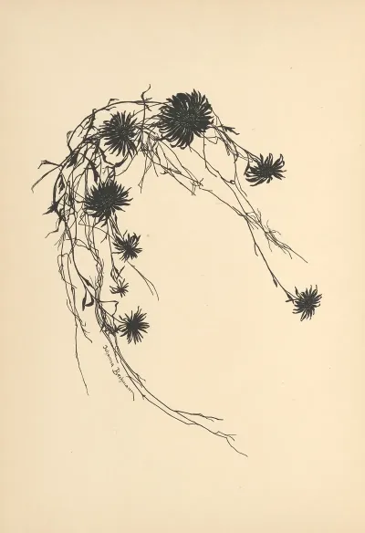 Vertrauen Pl 33