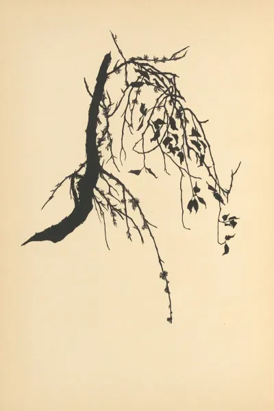 Vertrauen Pl 35