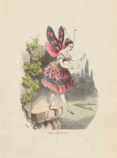 Vertu Medicale Du Bolero