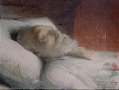 Victor Hugo Sur Son Lit De Mort