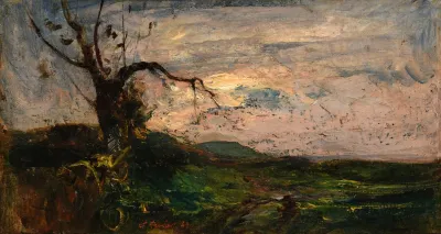 Vieil Arbre Dans La Plaine