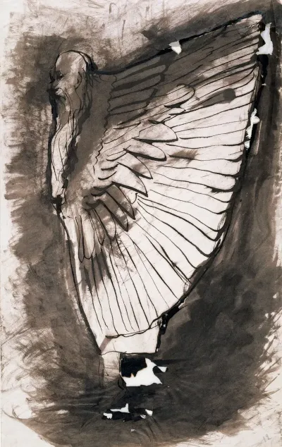 Vieil Homme A Lhabit Doiseau 2